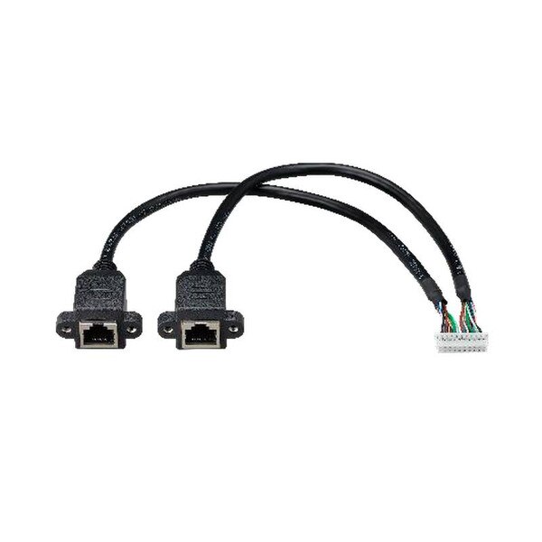 Innodisk EGPL-22N1 Cable