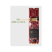 Innodisk EGPV-1101 M.2 HDMI/DVI-D